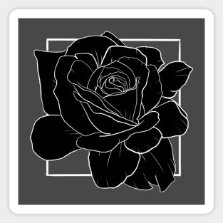 Black Rose Magnet